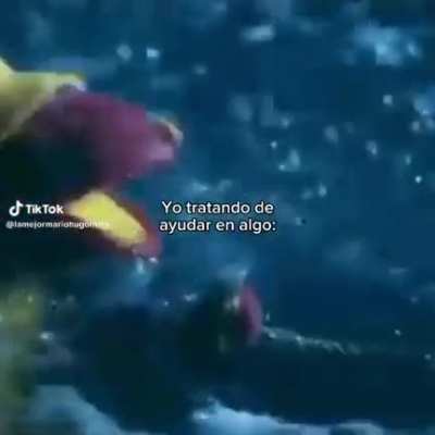 Pero......