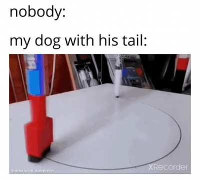 tail tail TAILS