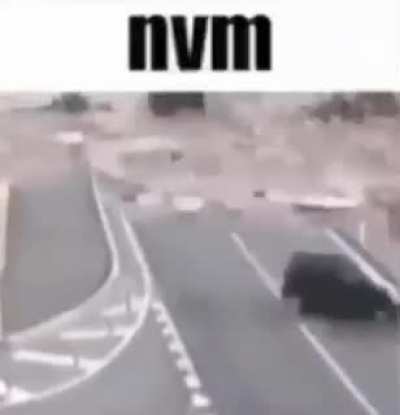 bro really said "NVM" 🗿