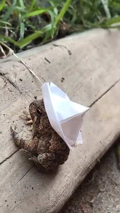 Gave this handsome boy a hat