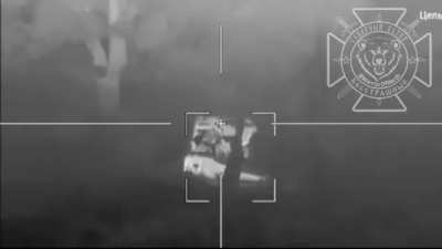 Ukraine 2S3 hit by a lancet drone