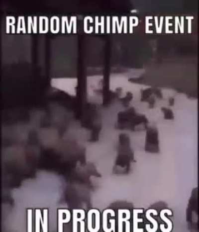 It's happening brace yourselves