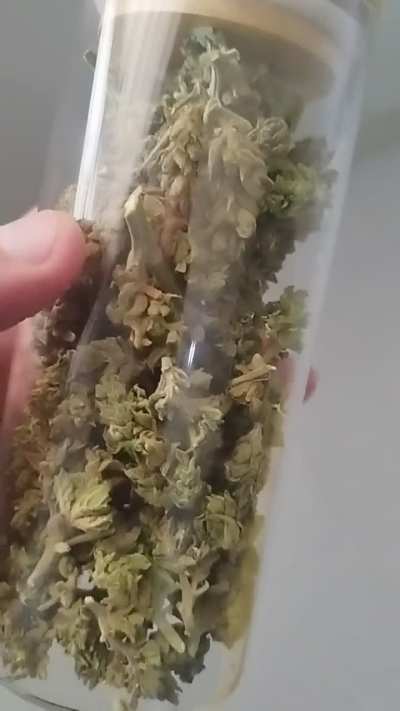 Recebido da ALCA: flores mistas