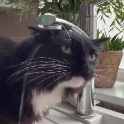 To drink water