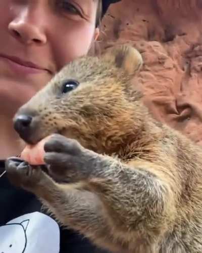  happy lil monches