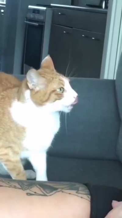 He just wasn't fed