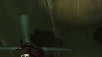 &ldquo;DMC1 in a nutshell&rdquo; this is just a snippet
