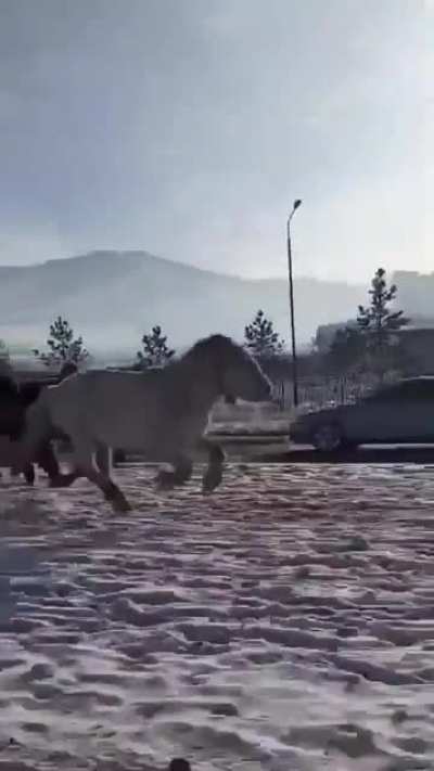 Based Mongolia.