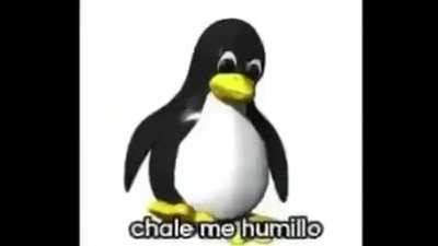 CHALE MA HUMILLO :(