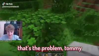 TommyInnit