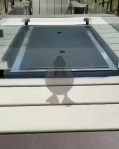 Qlecklust, The godemn of the sea.