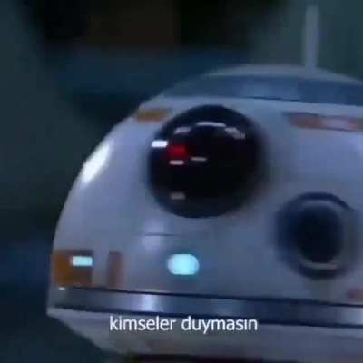 mesi