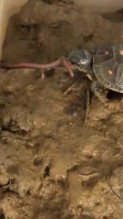Lil&rsquo; Homie gets taken down...
