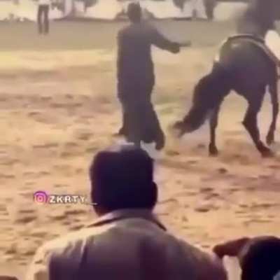 Танцуй, ёпт!
