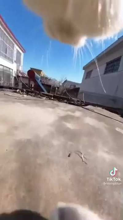 Cat&rsquo;s adventure