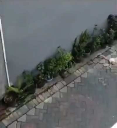 Umm&hellip; what just happened?