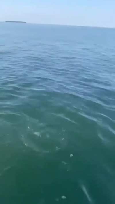 That's a great catch