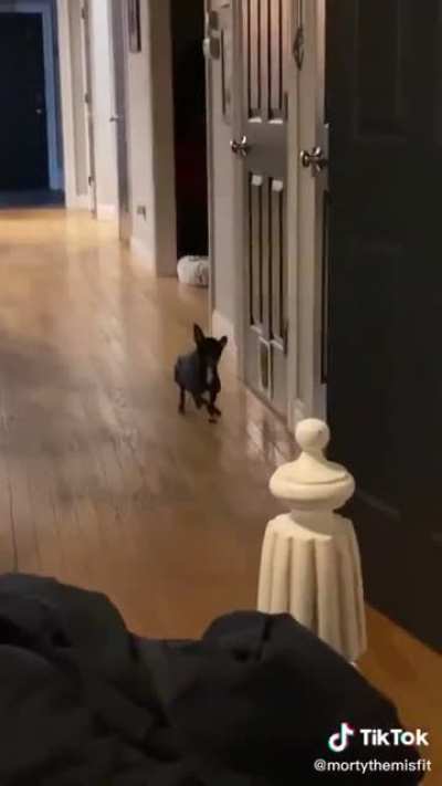 The music is perfect