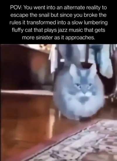jazz cat