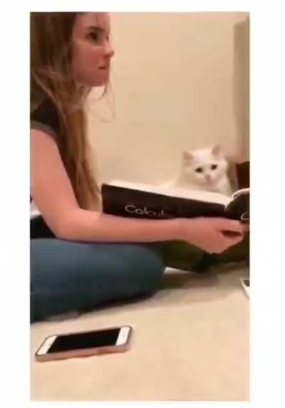 Studying calculus