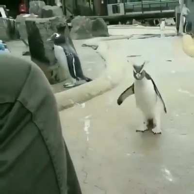 RECEP TAYYİP ERDOĞAN DIDIDIDIDI OF OF