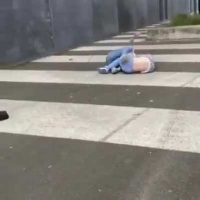 Catfight in the netherlands 