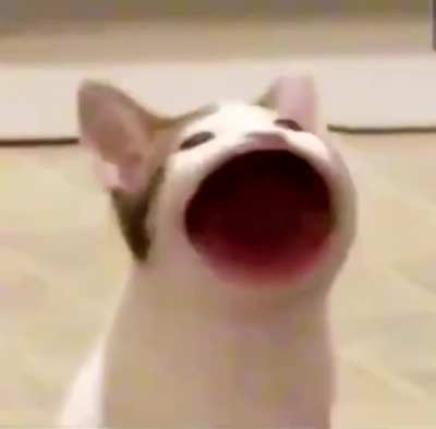ahbpbhapbhab