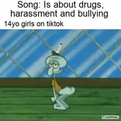 me and tha bois hate tiktok