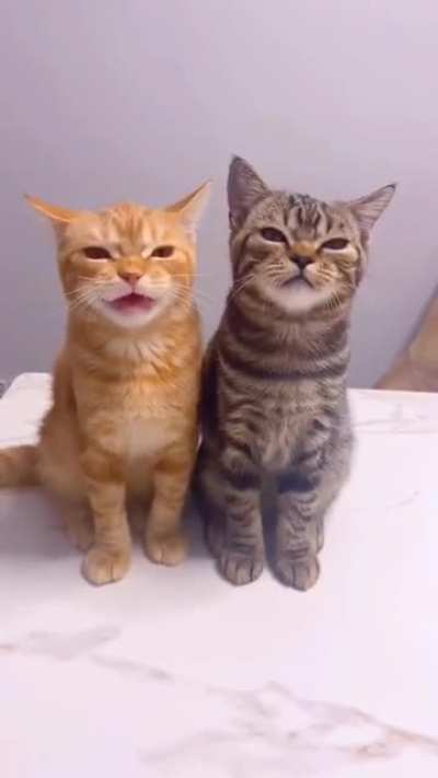 Cheerful singing