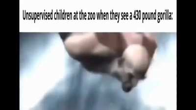 bruh moment