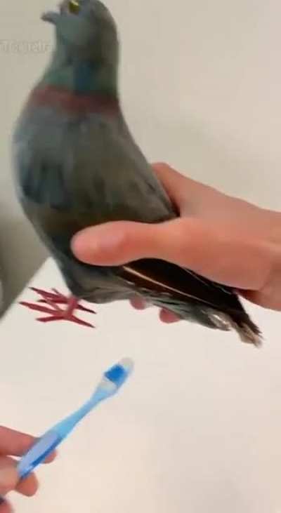 Maybe Maybe Maybe