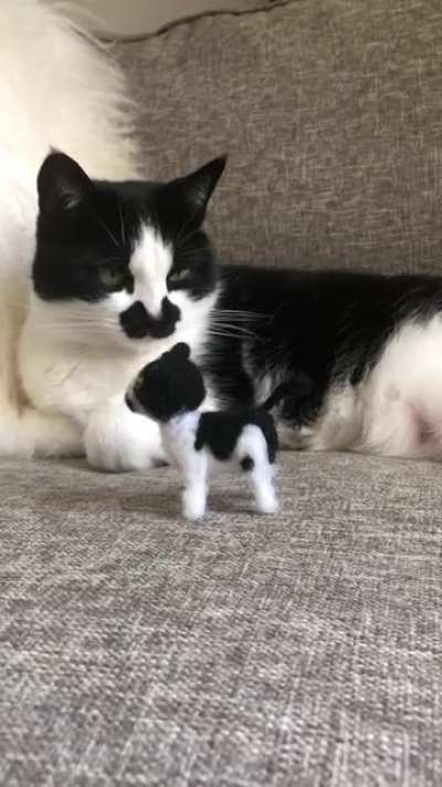 Made a mini felt version of her. Don&rsquo;t think she approves.