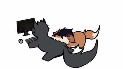 chomp_irl