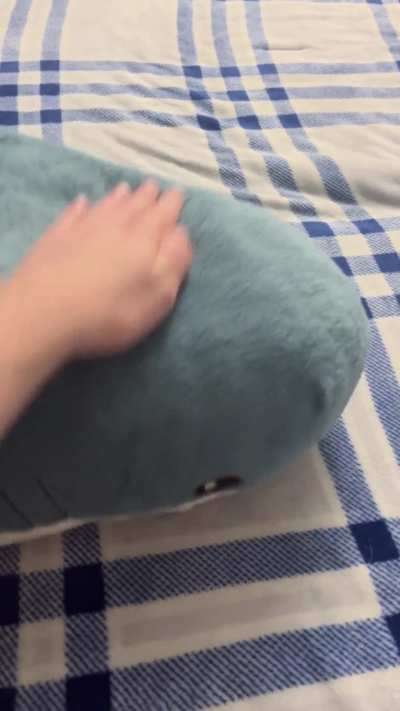 *Pets Aggressively*