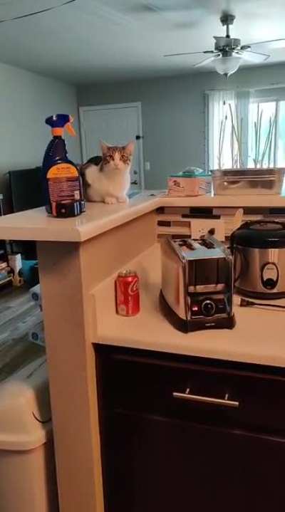Toast is my favorite snack, it&rsquo;s easy with no mess or worry&hellip;