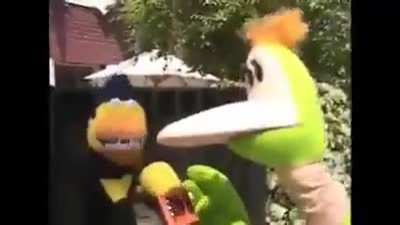 xd