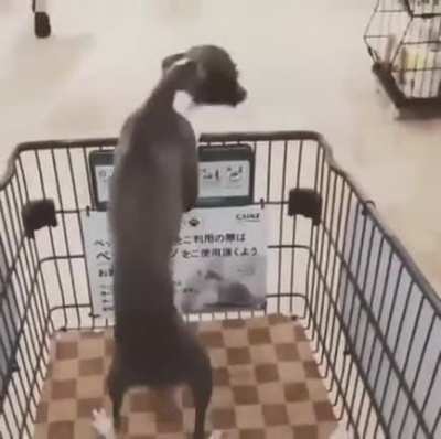 После зарплаты