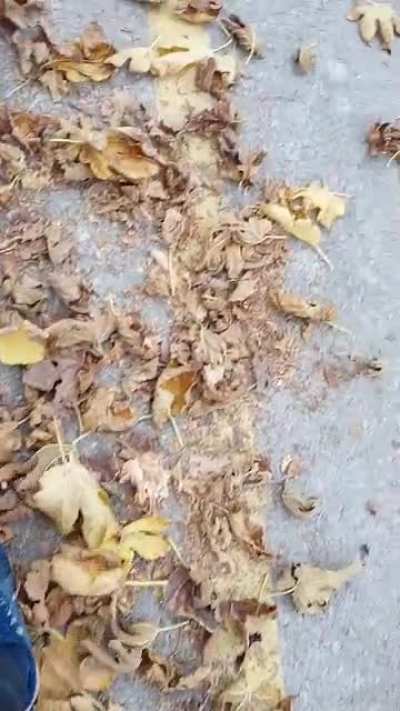şu olaydan zevk alıyorum