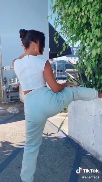 I love Vanessa Hudgens big ass