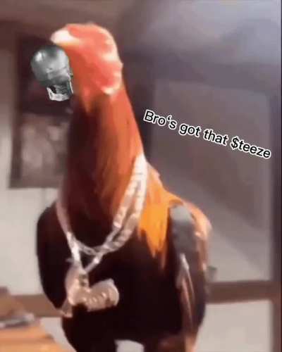 Bro&lsquo;s won the cock fight