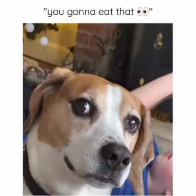 *mlem*