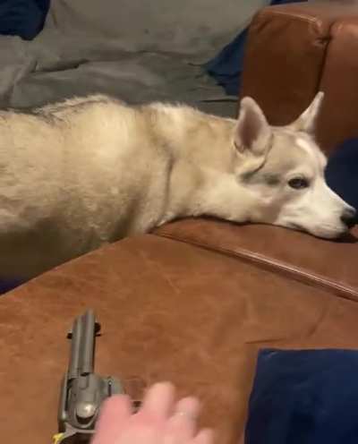 Protecc