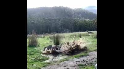 A beautiful splash