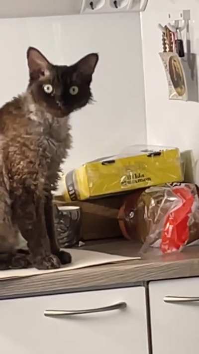 Oh god, he decided the food I gave him isn&rsquo;t good anymore 