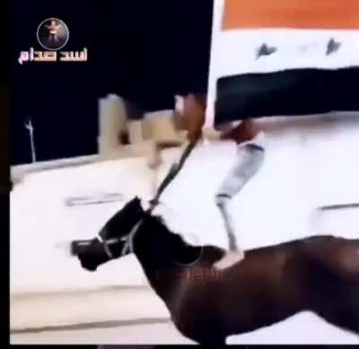 Iraqis on their way to support a dictator they just overthrew
