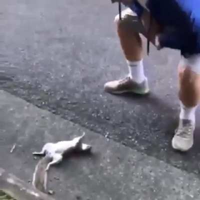 That&rsquo;s nuts