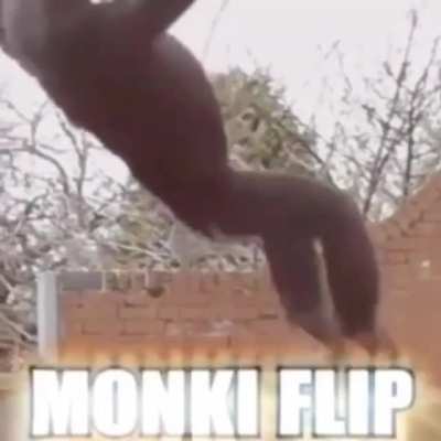 Monki