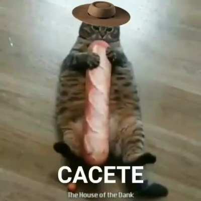 🤠bah gurizada