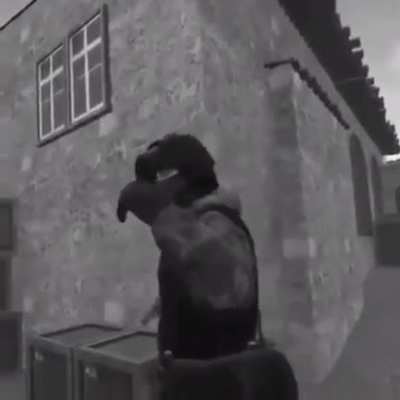 Russian roulette in VR