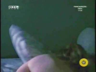 Beverly D'Angelo-- Pacific Heights SD crotch flash